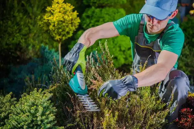 landscaping services Montegut